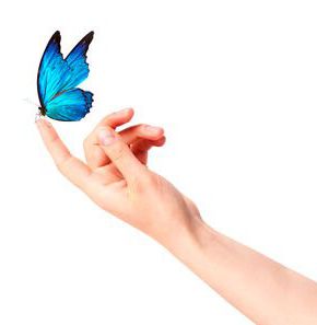 blue butterfly motýl ruka epidermolysis bullosa krídla